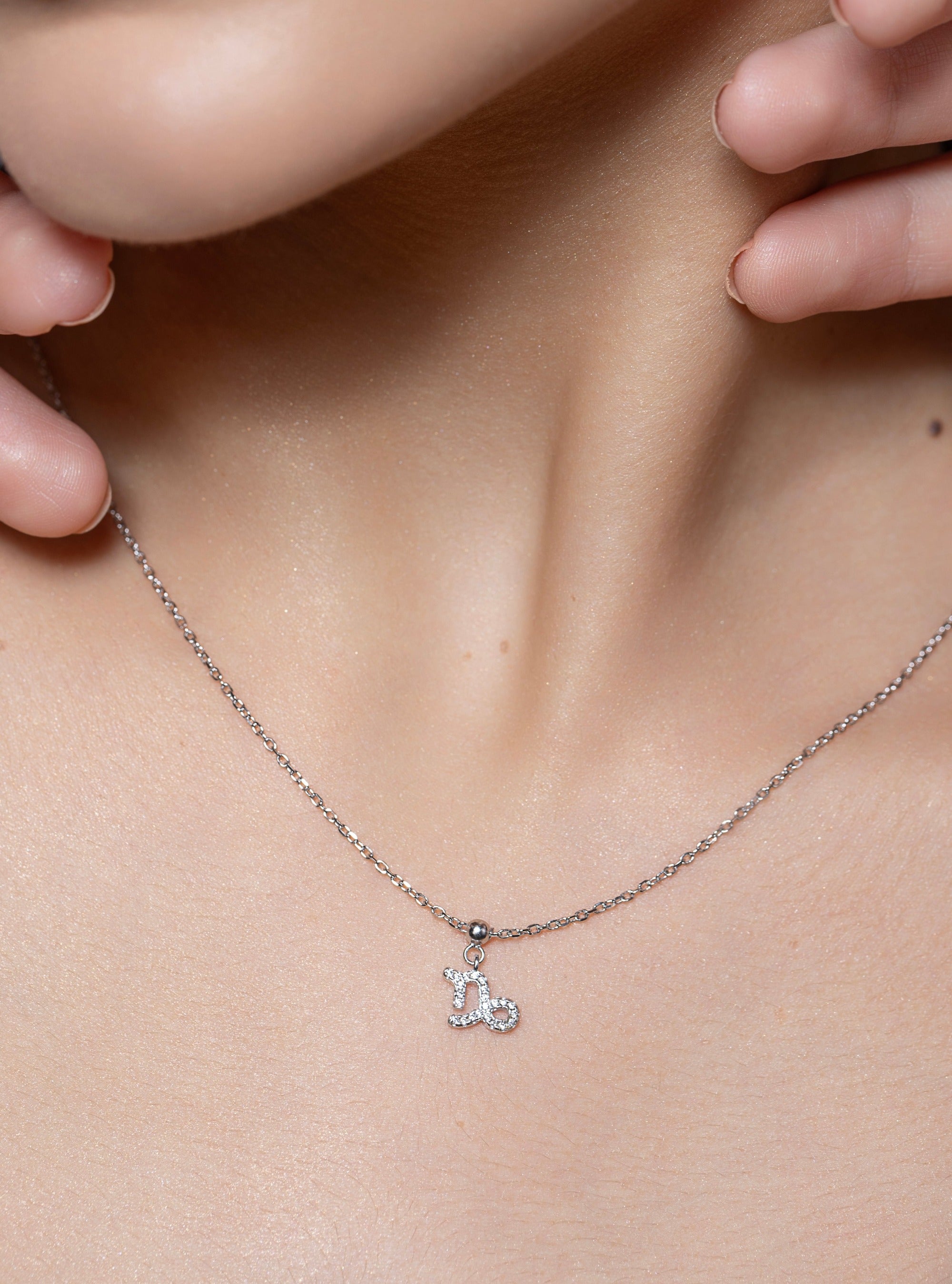 Capricon stone pave' zodiac necklace